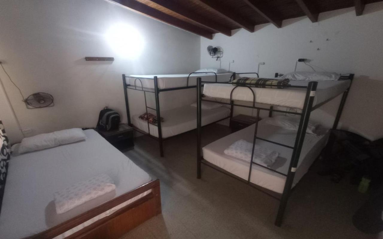 Single Bed Mixed Dormitory Room,1400530325:JPEG