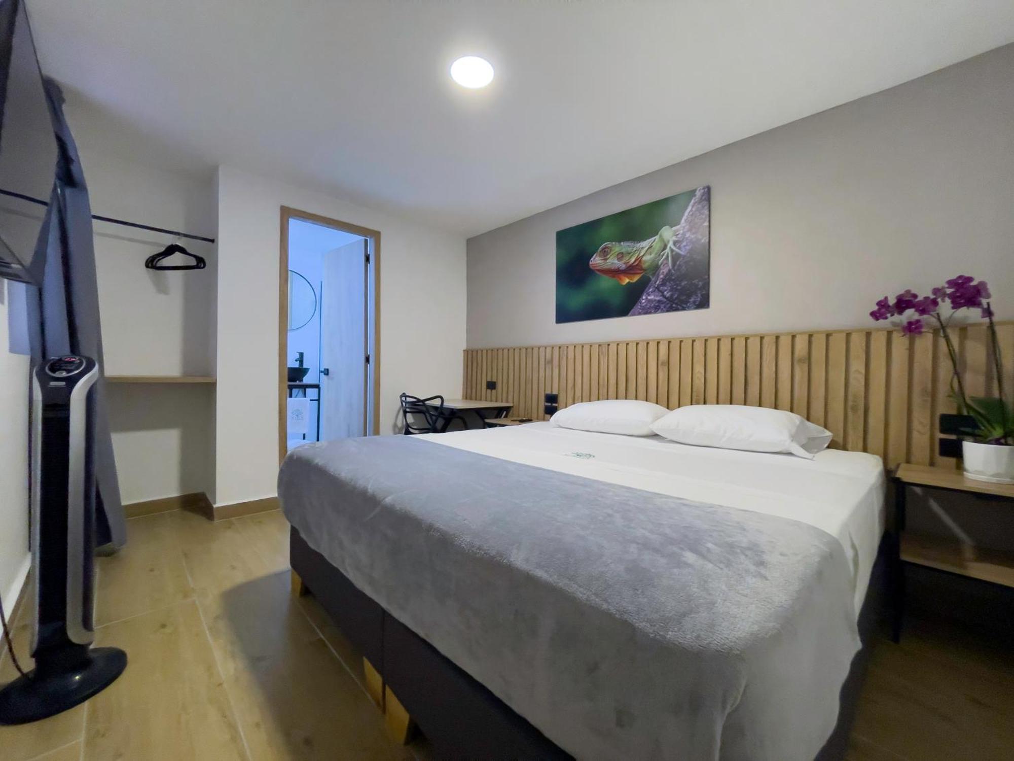Double or Twin Room,1556334397:JPEG