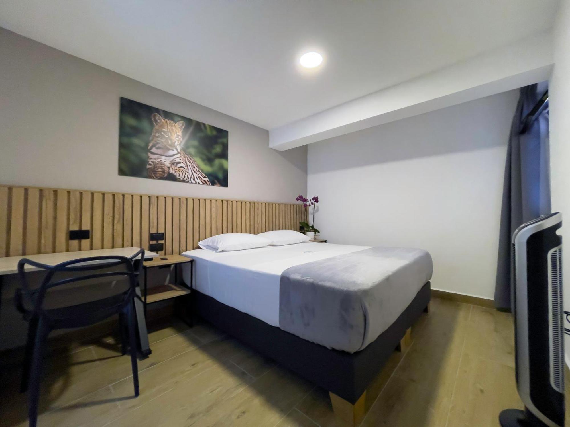 Double or Twin Room,1556334379:JPEG