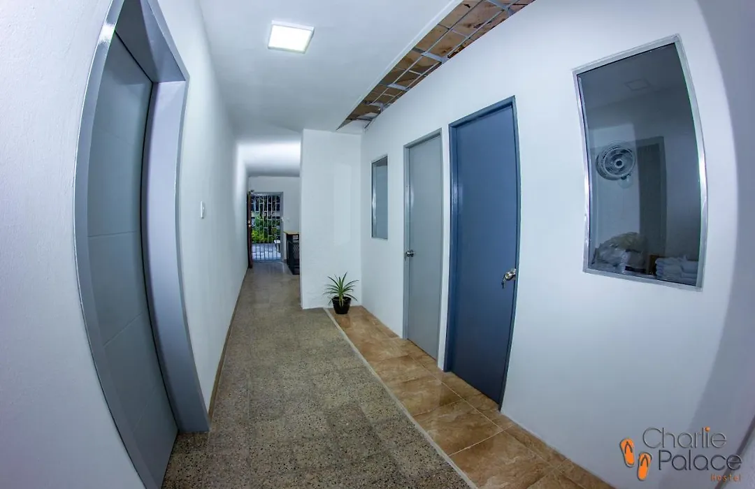 Charlie Palace Hostel-1