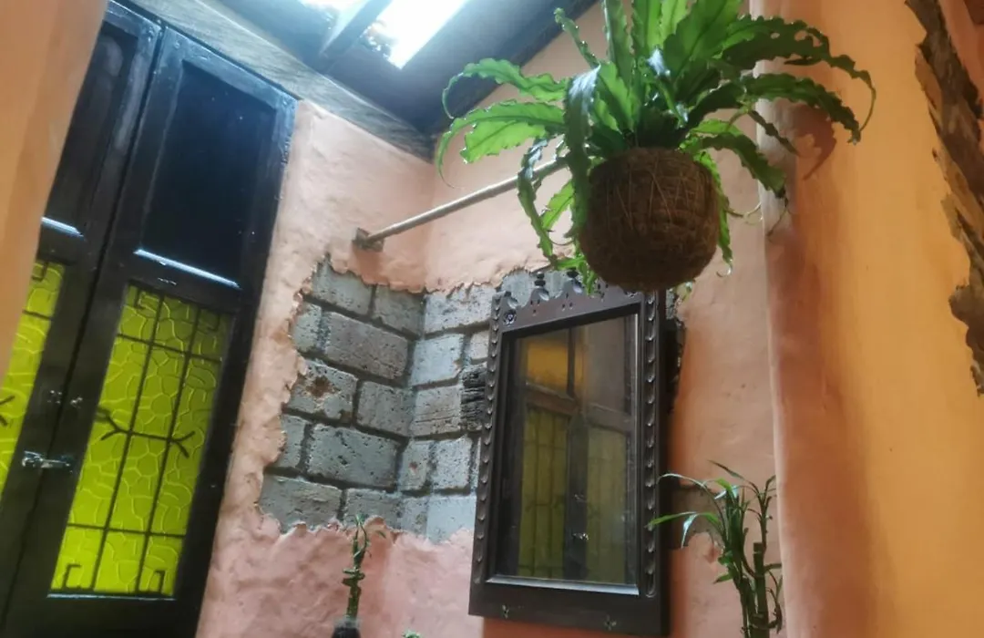 Botanico Hostal-1