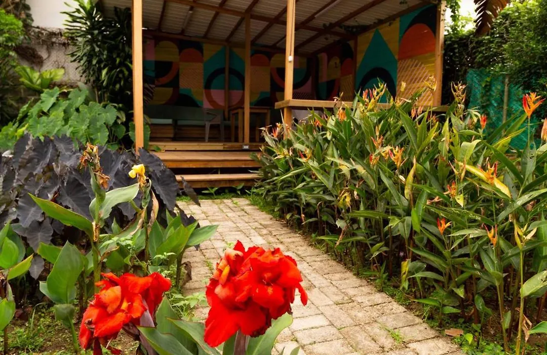 Alojamiento Que Permite Mascota En Medellin A103 By Roots Rentals-1