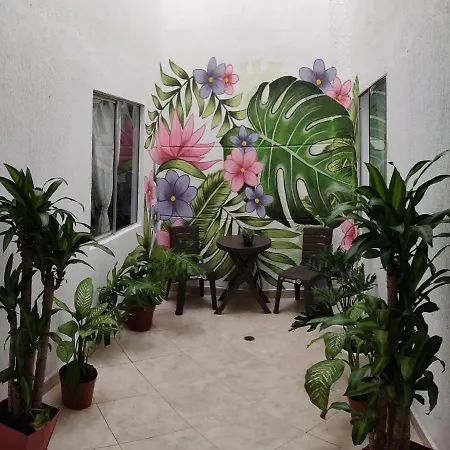 Casa Verde Medellin-2