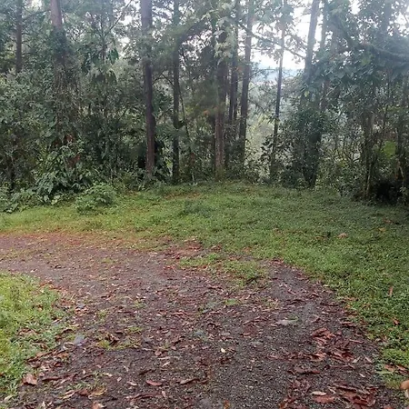Bosques Del Rio Hostal-3