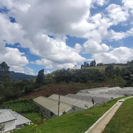 Finca Maria Auxiliadora-3