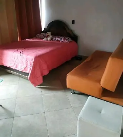 Hermoso apartamento totalmente amoblado-2