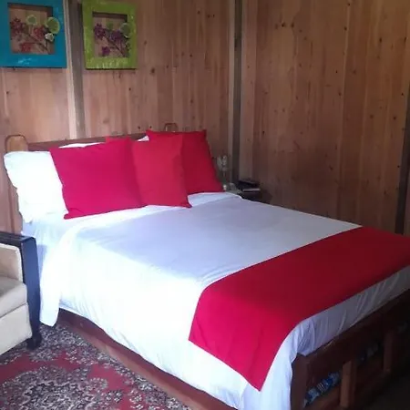 Moon Night Hostel-Santa Elena Pantanillo-3