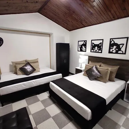 Licania Hostal Boutique-2