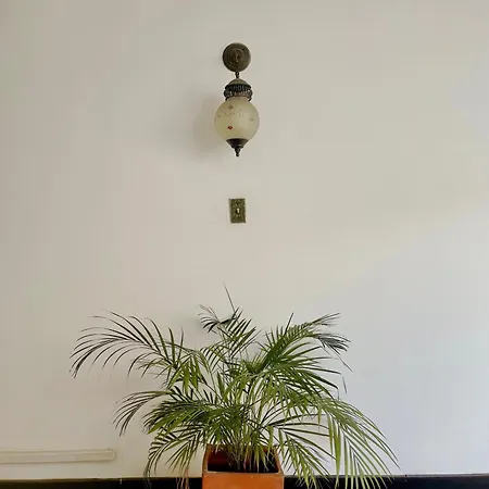 Calibri, La Casa Libre Del Rio-3