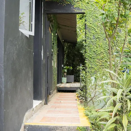Central Tiny House Surrounded By Nature-3