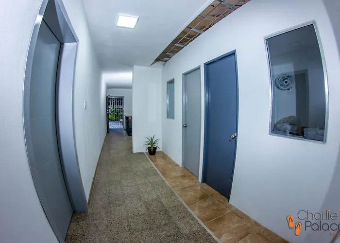 Charlie Palace Hostel Medellín