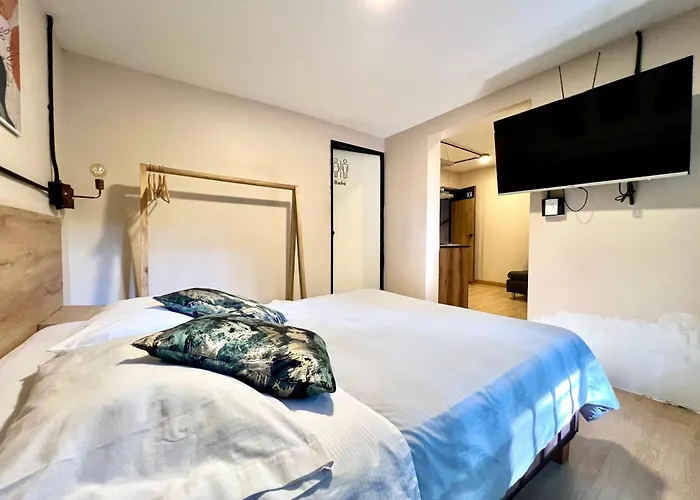 Haustierfreundliches Nuevo Estudio Cerca De Plaza Mayor Nid101 By Roots Rentals Medellín
