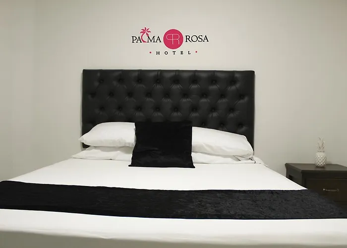 Hotel Palma Rosa Medellín